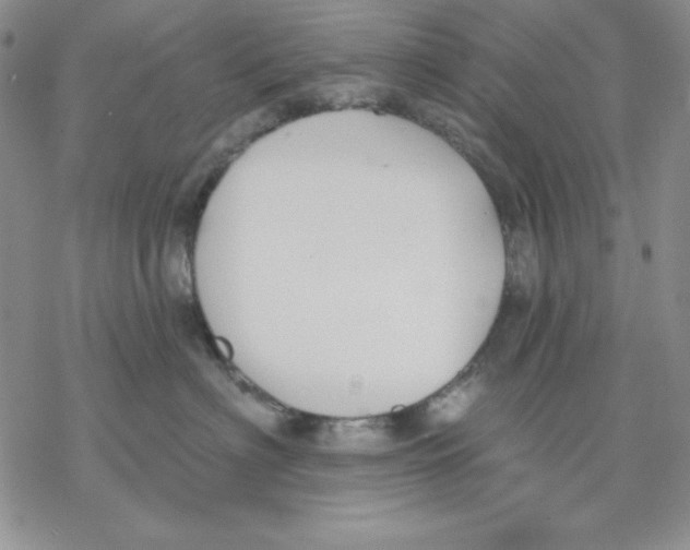 X0000069380622200606021608