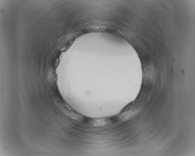 X0000069380623200606021608