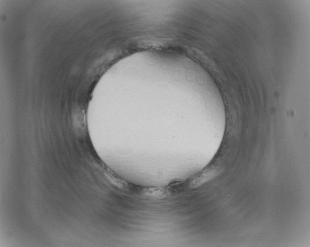 X0000069380624200606021608