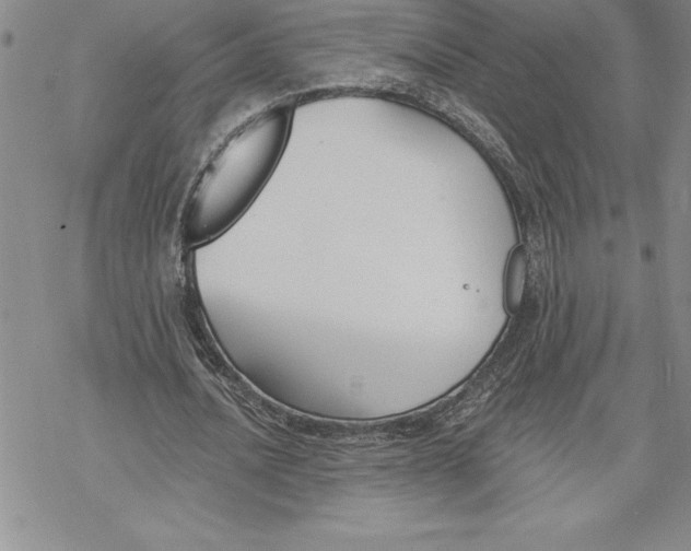 X0000069380628200606021607