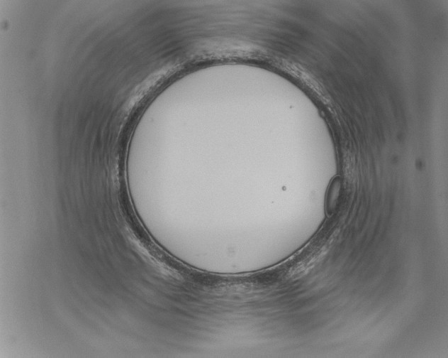 X0000069380629200606021607