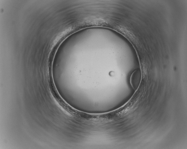 X0000069380630200606021607