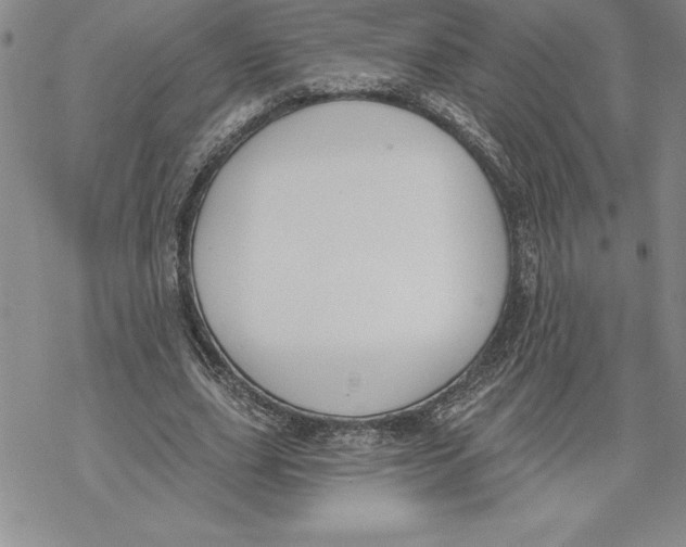 X0000069380631200606021608