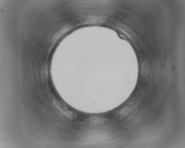 X0000069380632200606021608