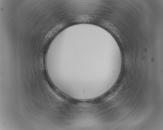 X0000069380633200606021608