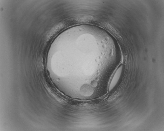 X0000069380634200606021608