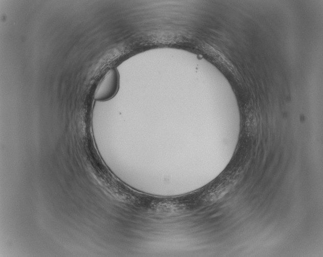 X0000069380635200606021608