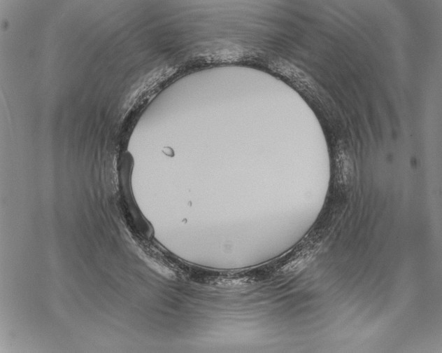 X0000069380638200606021608