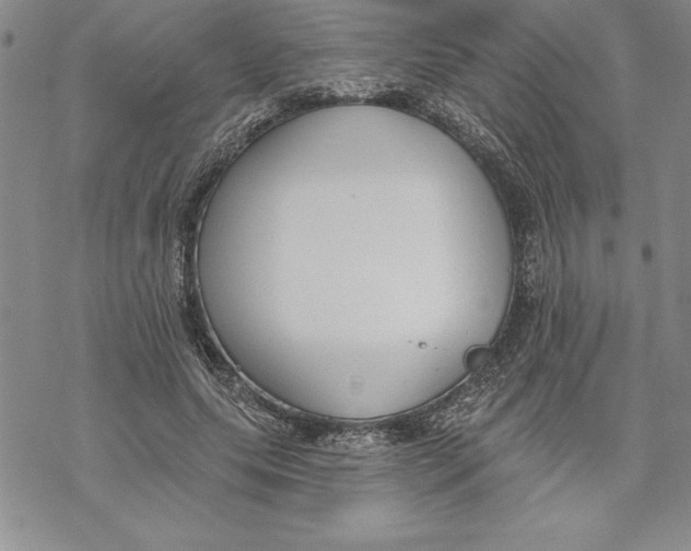 X0000069380639200606021608