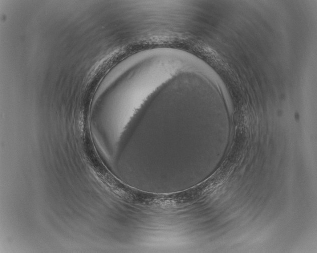 X0000069380640200606021608