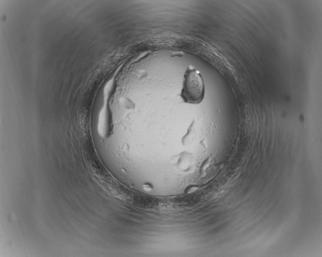 X0000069380641200606021608