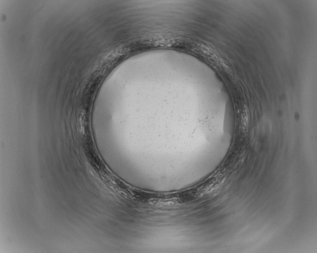 X0000069380643200606021608