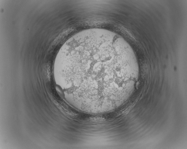 X0000069380644200606021608