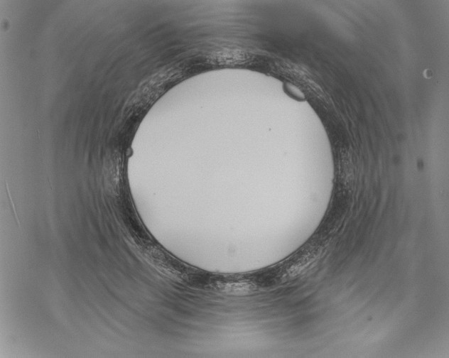 X0000069380645200606021608