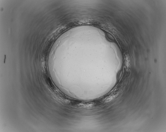 X0000069380648200606021608