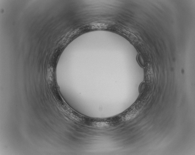 X0000069380649200606021608