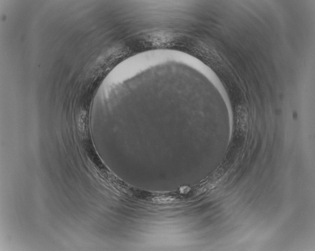 X0000069380650200606021608