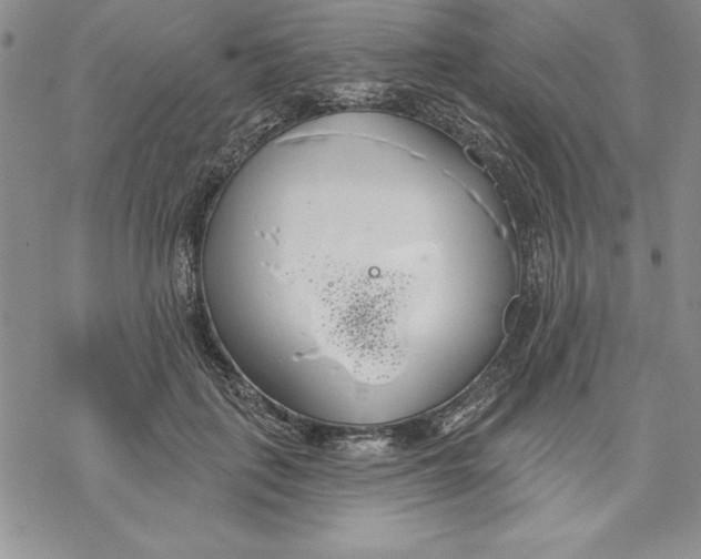 X0000069380651200606021608