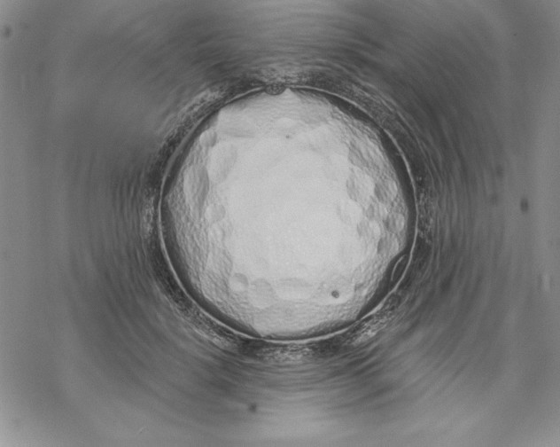 X0000069380652200606021608