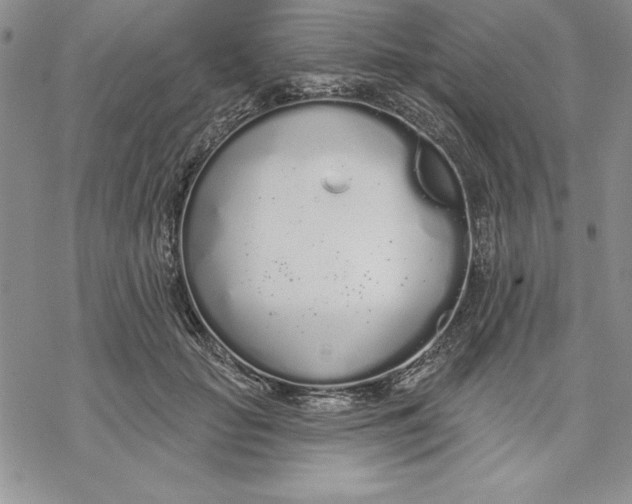 X0000069380653200606021608