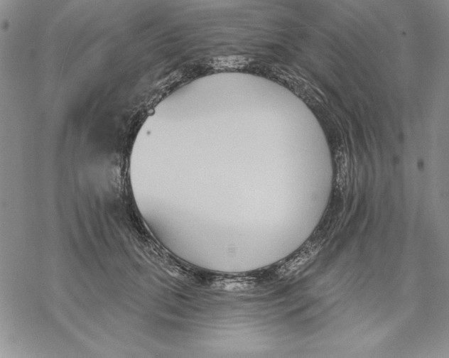 X0000069380655200606021608