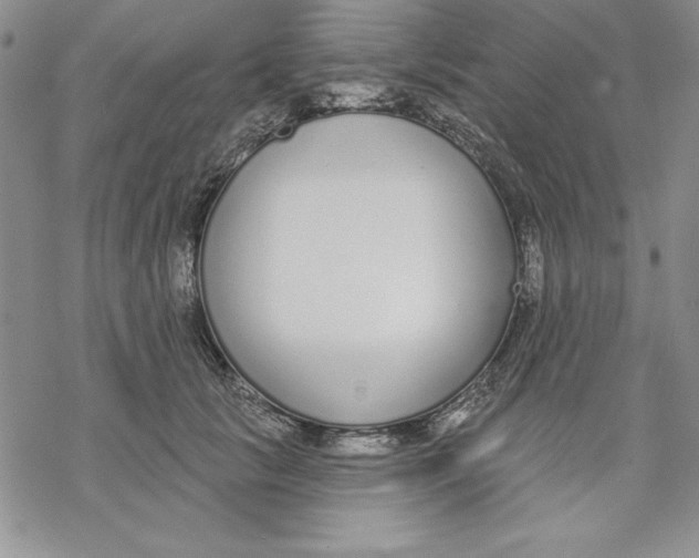 X0000069380657200606021608