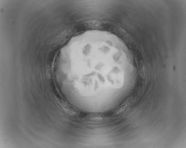 X0000069380658200606021608