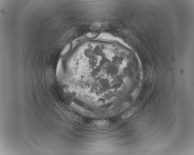 X0000069380659200606021608