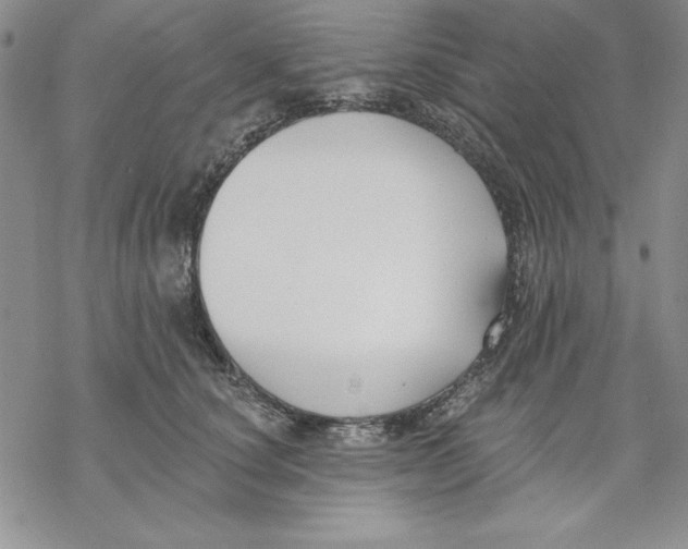 X0000069380660200606021608