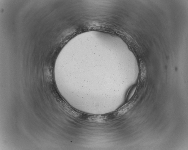 X0000069380661200606021608