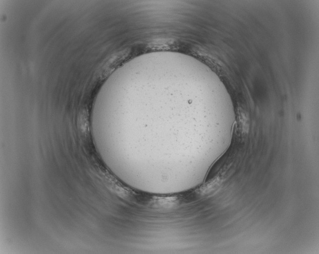 X0000069380665200606021608