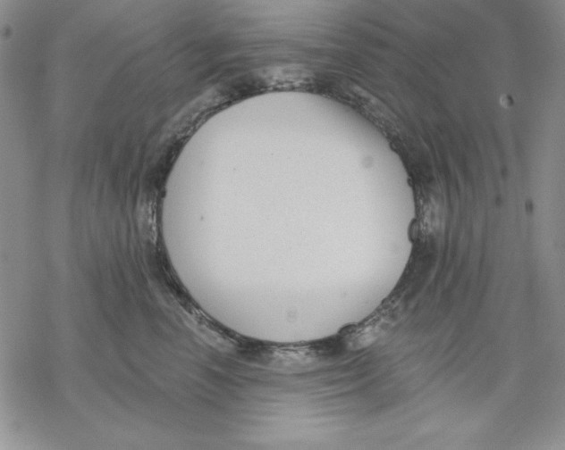 X0000069380666200606021608