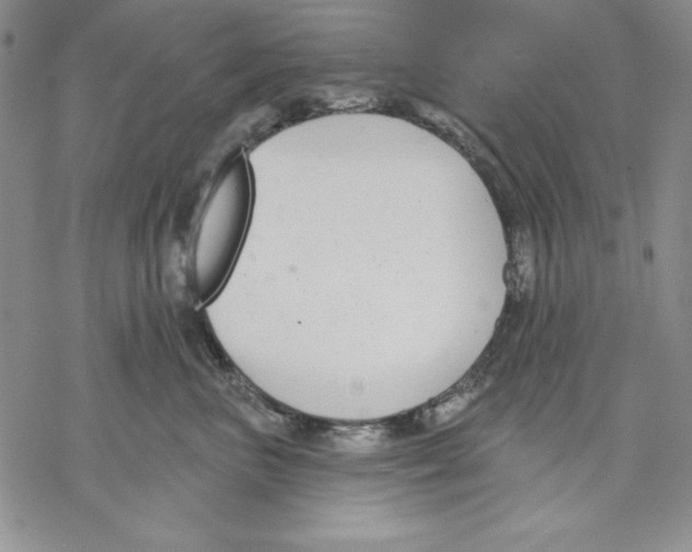 X0000069380667200606021608