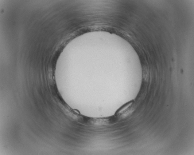 X0000069380670200606021608