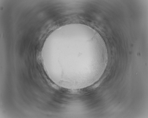 X0000069380672200606021608