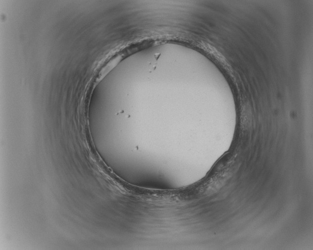 X0000069380673200606021607