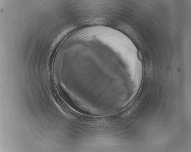 X0000069380674200606021607