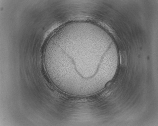 X0000069380675200606021607