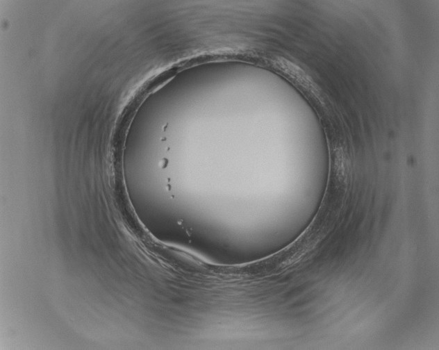 X0000069380676200606021607