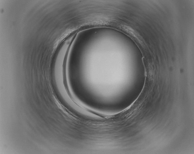 X0000069380677200606021607