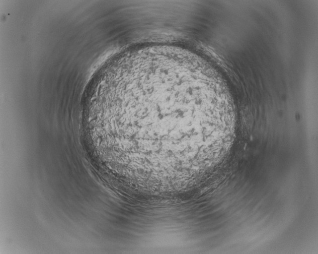 X0000069380679200606021607