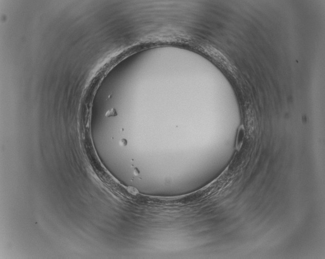 X0000069380680200606021607