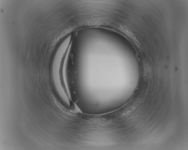 X0000069380681200606021607