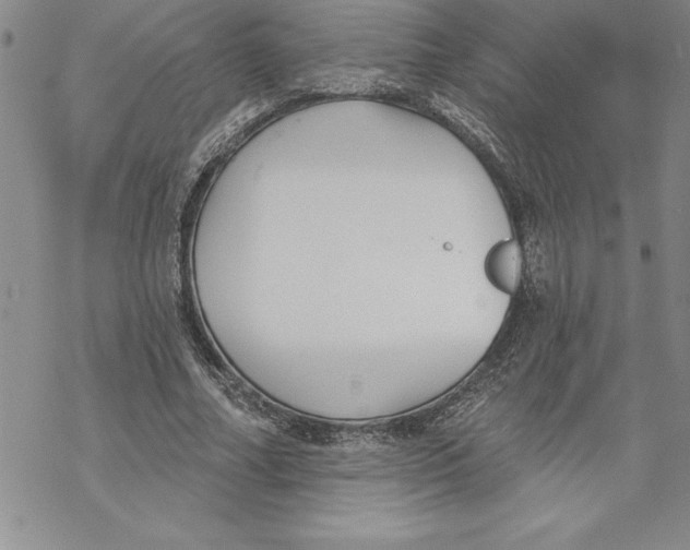 X0000069380682200606021607