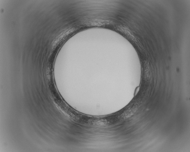 X0000069380683200606021607