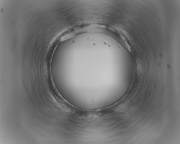 X0000069380684200606021607