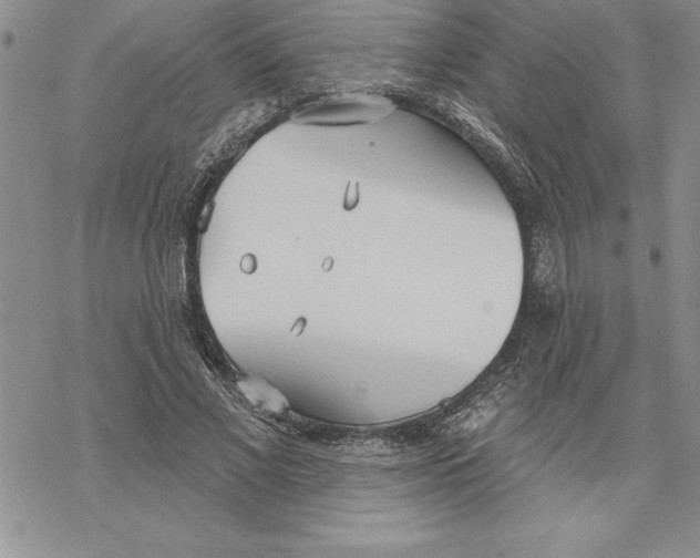 X0000069380685200606021607