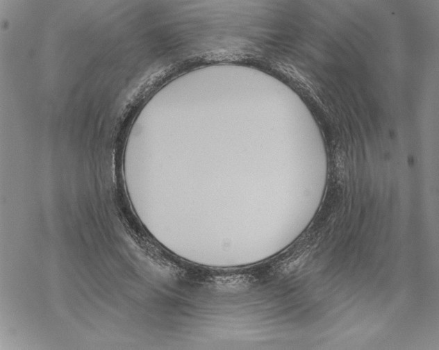 X0000069380686200606021607