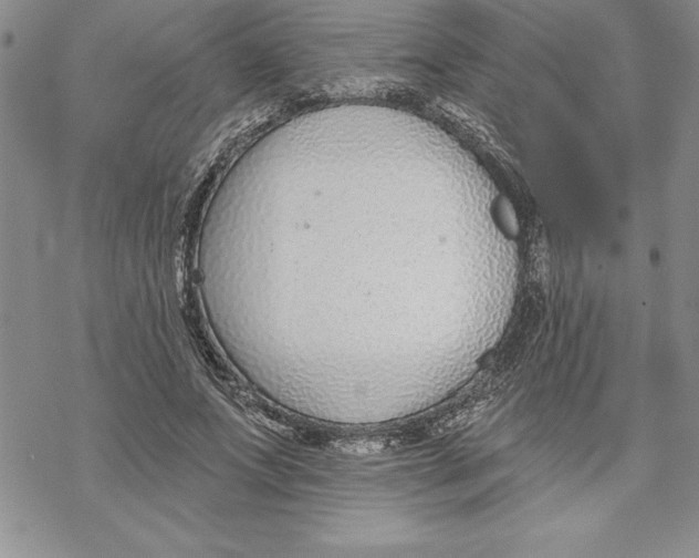 X0000069380687200606021607