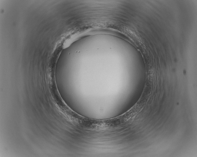 X0000069380688200606021607